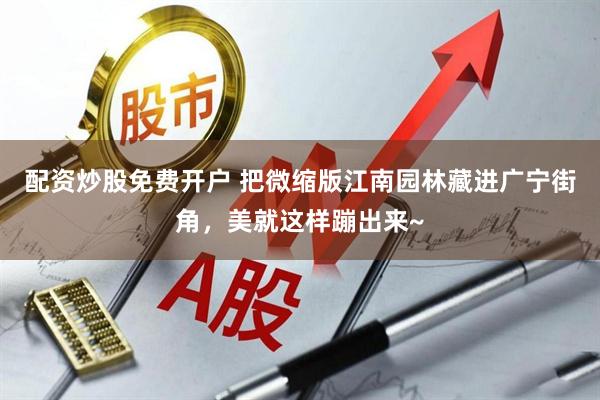 配资炒股免费开户 把微缩版江南园林藏进广宁街角，美就这样蹦出来~
