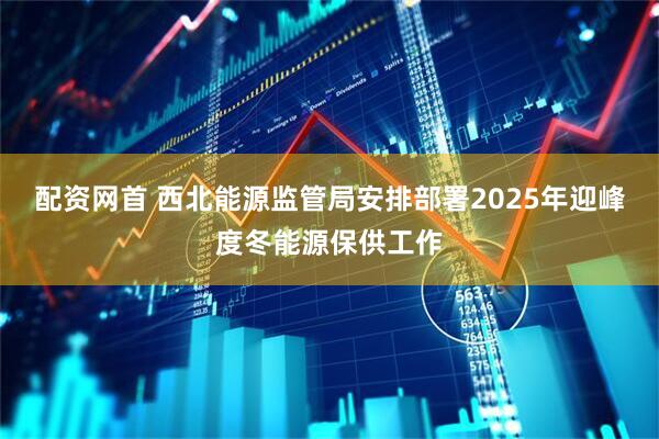 配资网首 西北能源监管局安排部署2025年迎峰度冬能源保供工作