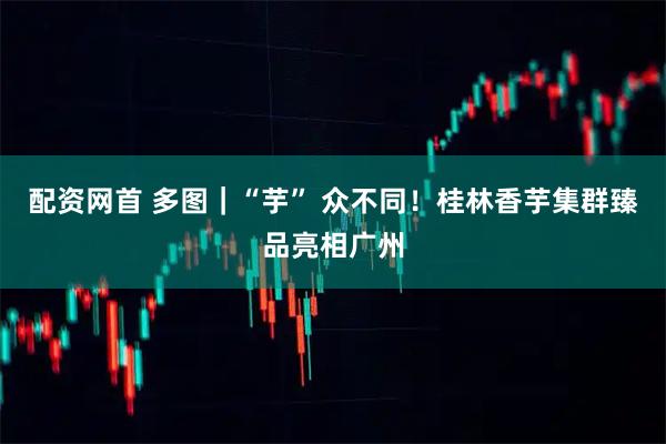 配资网首 多图｜“芋” 众不同！桂林香芋集群臻品亮相广州